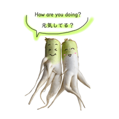 [LINEスタンプ] 大根ツインズ