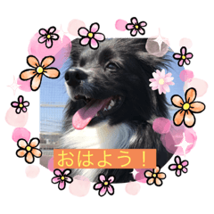 [LINEスタンプ] さつきちゃんのスタンプ♡