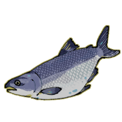 [LINEスタンプ] おいしい魚介類たち