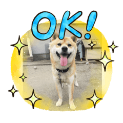 [LINEスタンプ] かなとフレンド
