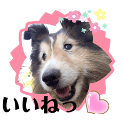 [LINEスタンプ] ジャスティーくん