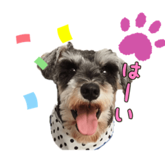 [LINEスタンプ] POLOくん