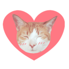 [LINEスタンプ] ちいともう2