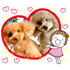 [LINEスタンプ] トイプードル・ココノン②