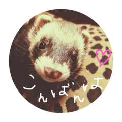 [LINEスタンプ] 普段使いスタンプ♡
