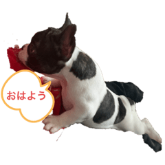 [LINEスタンプ] ぱんくんハウス2