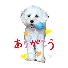 [LINEスタンプ] レイチ  Leite