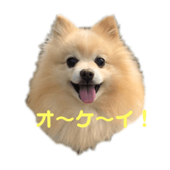[LINEスタンプ] みずにとみーくんとすきっぷ