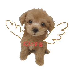 [LINEスタンプ] 愛犬カロたん