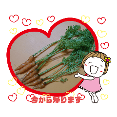 [LINEスタンプ] 野菜のご挨拶