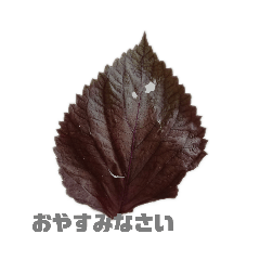 [LINEスタンプ] 野菜の気持ちは