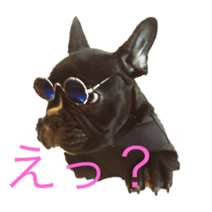[LINEスタンプ] フレブル★ラスタんぷ
