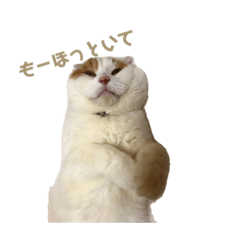 [LINEスタンプ] 前ちゃんスタンプ1