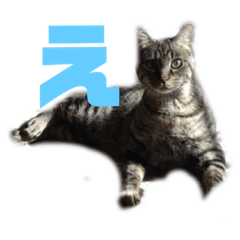 [LINEスタンプ] 流ちゃんず③