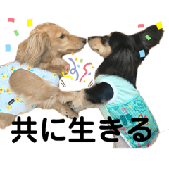 [LINEスタンプ] ぽて＆うにのおキャワな日常