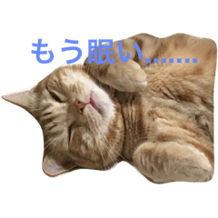 [LINEスタンプ] うーにゃんとごっつ①