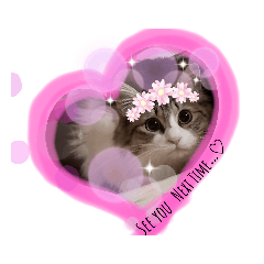 [LINEスタンプ] Aruちゃんのニャンコスタンプ♡