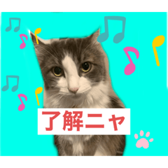 [LINEスタンプ] 我が家のアラン君