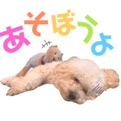 [LINEスタンプ] もこちゃんとおともだち