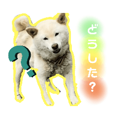 [LINEスタンプ] 双子とちびと親父