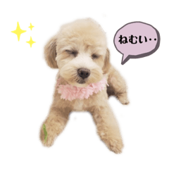 [LINEスタンプ] きなちゃんスタンプ3