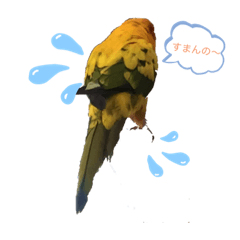 [LINEスタンプ] 可愛いメイちゃん2020