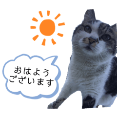 [LINEスタンプ] 鈴木家のちび