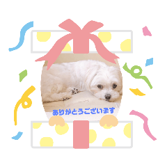 [LINEスタンプ] 千輪