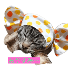 [LINEスタンプ] かわいいゴン