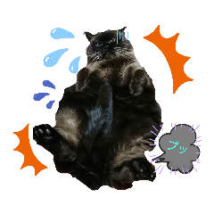 [LINEスタンプ] ベルジャム