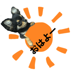 [LINEスタンプ] チワワOREO