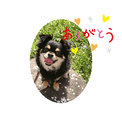 [LINEスタンプ] くーまのスタンプ