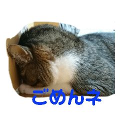 [LINEスタンプ] ぜんちゃんファミリー