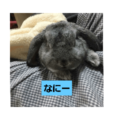 [LINEスタンプ] うめちゃーん