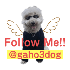 [LINEスタンプ] gaho3dog 2020の画像（メイン）