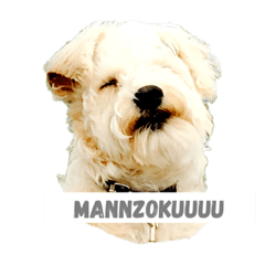 [LINEスタンプ] おんじゃまる