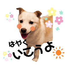 [LINEスタンプ] わたしのたろうさん