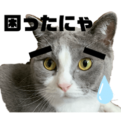 [LINEスタンプ] モップとミルク2