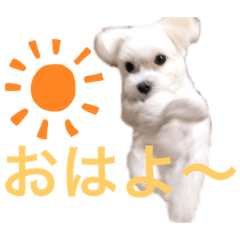 [LINEスタンプ] ほりきりるー