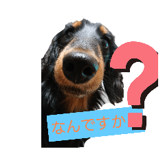 [LINEスタンプ] 熊雄の日常