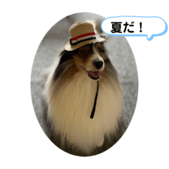[LINEスタンプ] まりんの1日Ver.6