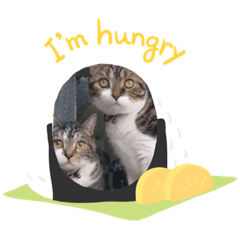 [LINEスタンプ] ととくん＆セレブくん