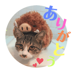 [LINEスタンプ] tsuna♥