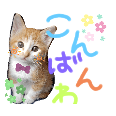 [LINEスタンプ] 弟のしじみくん