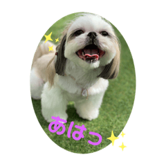 [LINEスタンプ] ダリ 日常