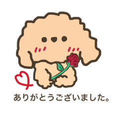 [LINEスタンプ] ふわふわトイプードル。敬語ver.