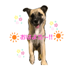 [LINEスタンプ] サンちゃんday