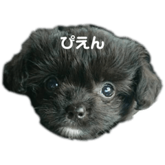 [LINEスタンプ] 倉田家のたらちゃん