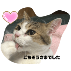 [LINEスタンプ] momo cyan