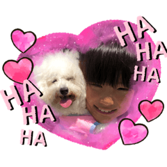 [LINEスタンプ] トイプードル・シェイク